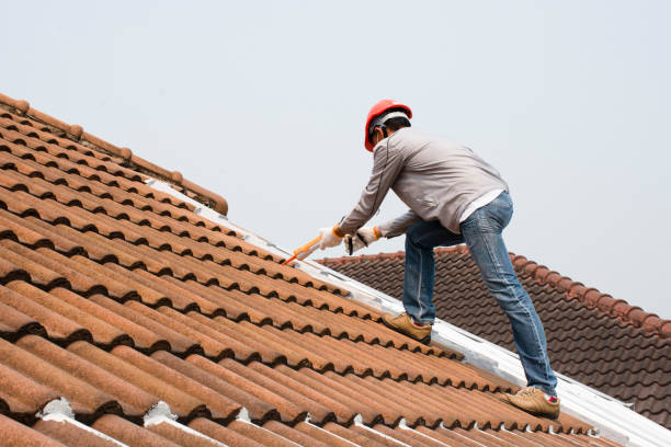 Best Wood Shake Roofing  in Hollister, MO