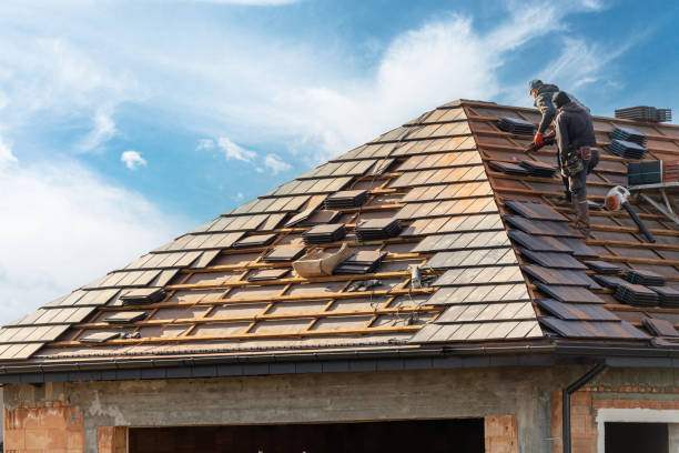 Best Roof Maintenance and Cleaning  in Hollister, MO